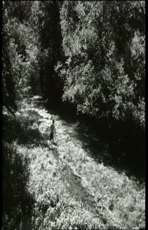 Rentrée des classes