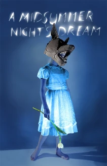 Julie Taymor's A Midsummer Night's Dream