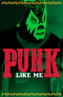 Punk Like Me